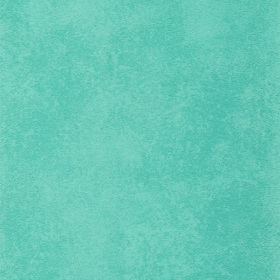  PT 0808(200-100%)