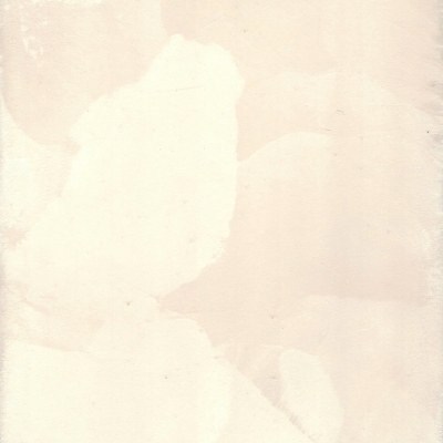 CP0020CD