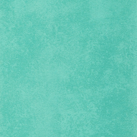  PT 0808(200-100%)