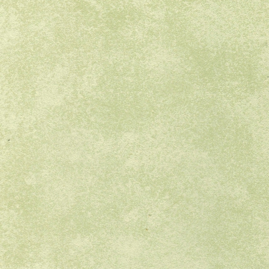  PT0619(30%)