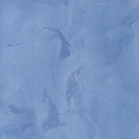 CP 1113