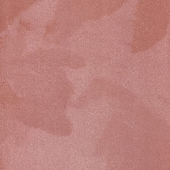 CP 0173